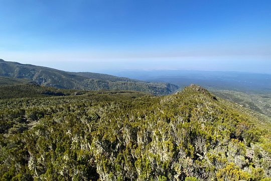 8 Days Lemosho Route — photograph 5