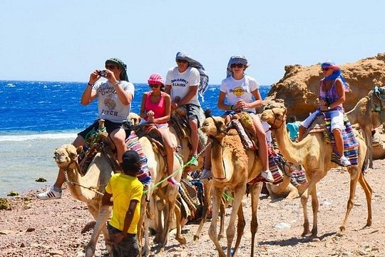 Sharm El Sheikh Top Things To Do In 3 Day — photograph 2
