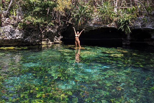 Private Guided Cenotes and Underground River Exploration — صورة 4