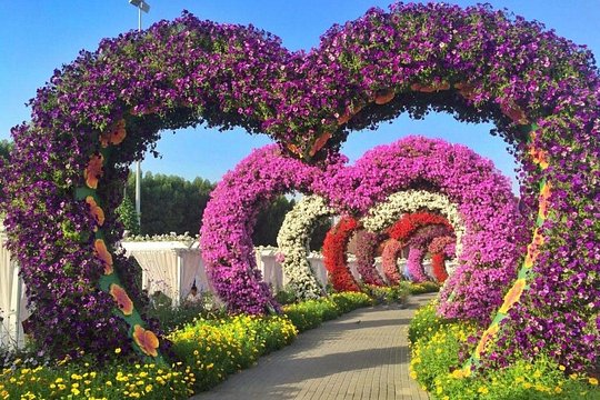 Dubai Miracle Garden Entry Tickets — photograph 4