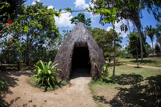 Quilombo dos Palmares Tour — 사진 5
