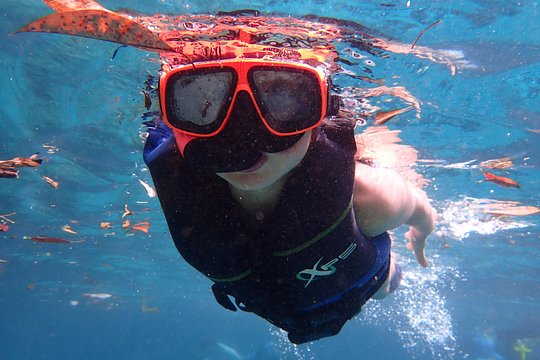 Swim With Manatees In Crystal River, Florida — photograph 4