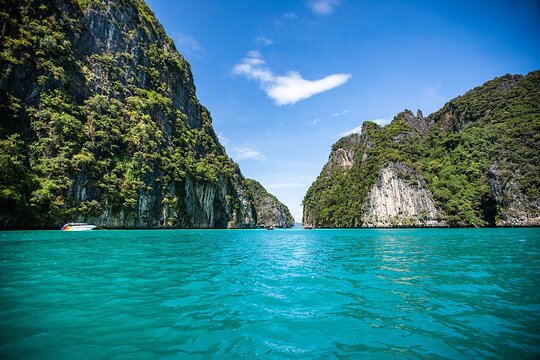 Maya Bay, Monkey Bay and Phi Phi Island Snorkeling Tour from Koh Lanta — billede 2