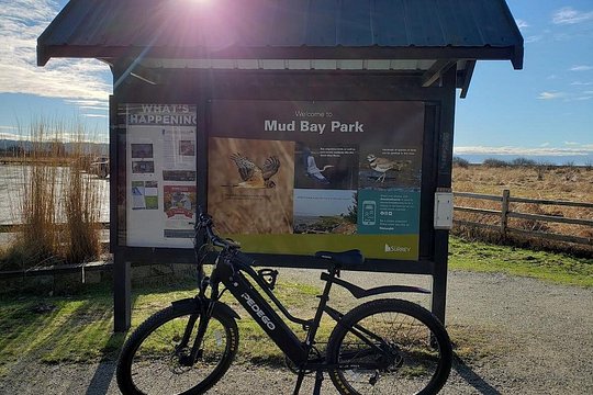 Mud Bay Park Bicycle Rental — photograph 2