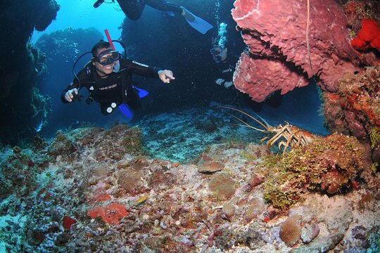 Discover scuba diving in Búzios — photograph 4