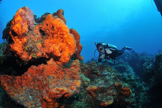 Discover scuba diving in Búzios — photograph 5