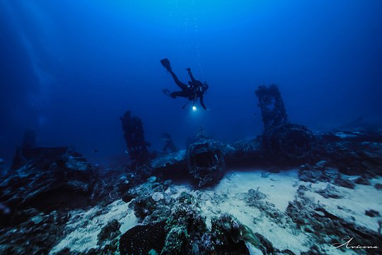Private 5 Day Morotai Scuba Diving Trip — photograph 4