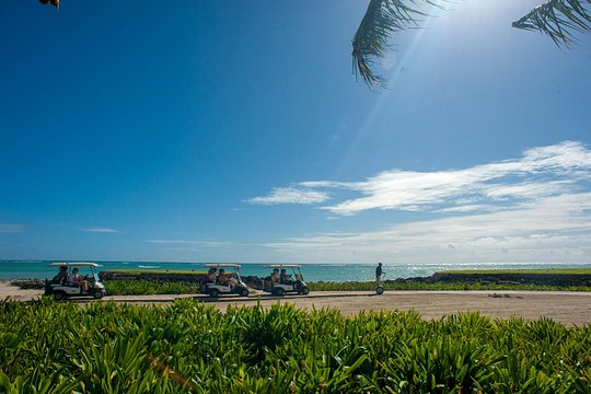 Wild on Caribbean Sea Super Combo — billede 3