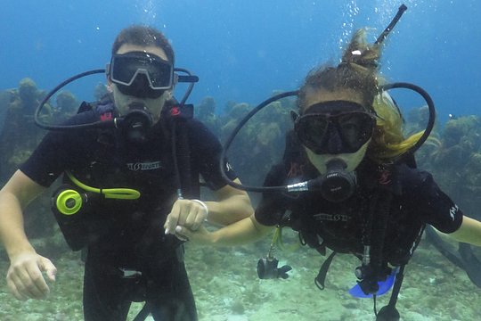 Scuba Diving (1st time) in Cancun Beginner's WELCOMED! — photograph 5