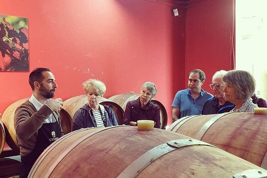 Cesani Wine Experience — photograph 5