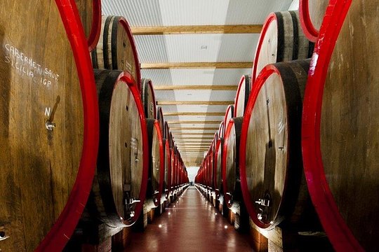 Modena area: Lambrusco Wine Tasting Experience — billede 2