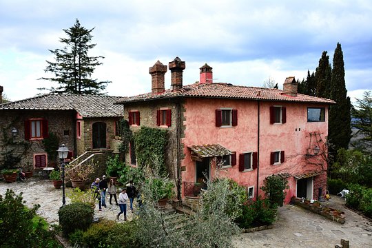 Exclusive Private Chianti Classico Experience from Florence — photograph 4
