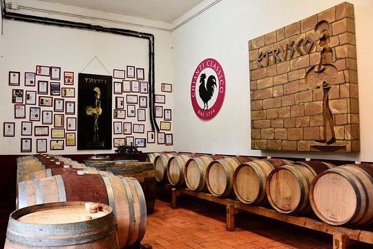 Exclusive Private Chianti Classico Experience from Florence — photograph 3