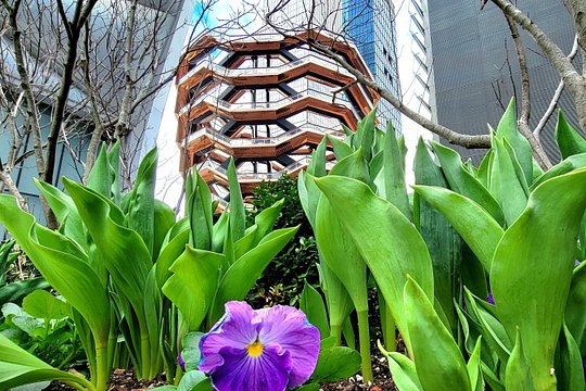 Secrets of the High Line — photograph 5