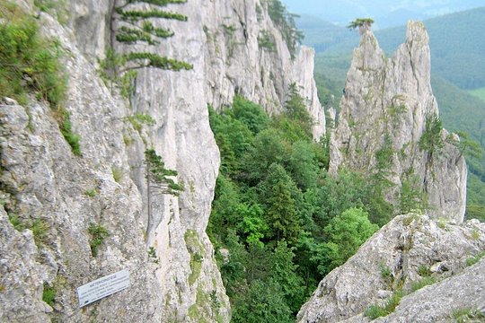 Via Ferrata experience in Vienna - Beginner level — photograph 3