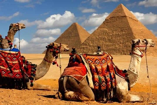 Giza Pyramids, Sphinx & Egyptian Museum — billede 3