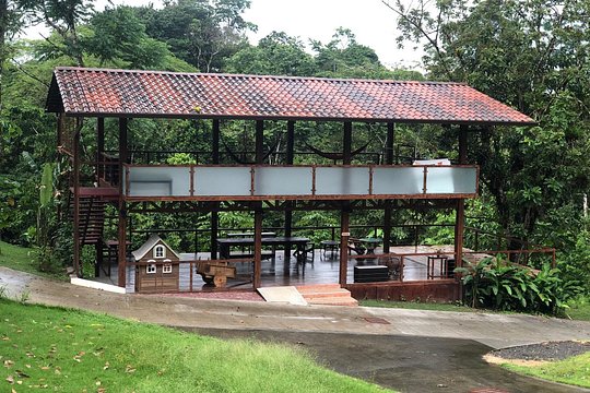Private Yoga Class on Rainforest River Platform — photograph 4