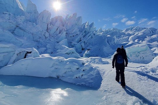Full-Day Matanuska Glacier Small-Group Excursion — 사진 4