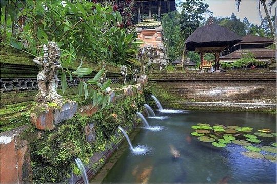 Ubud Best Tour — photograph 5