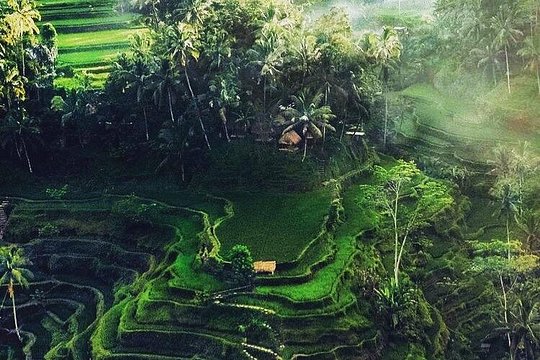 Bali Sightseeing — 사진 4