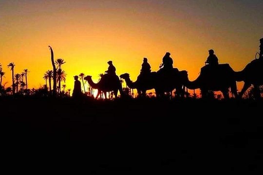Marrakech Palmeraie: Camel Ride at Sunset — billede 3