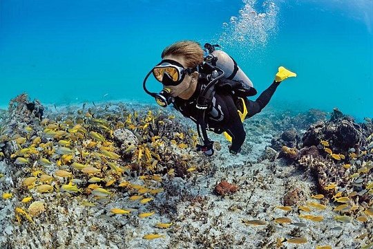 Scuba Diving Adventure in Dubai — photograph 4