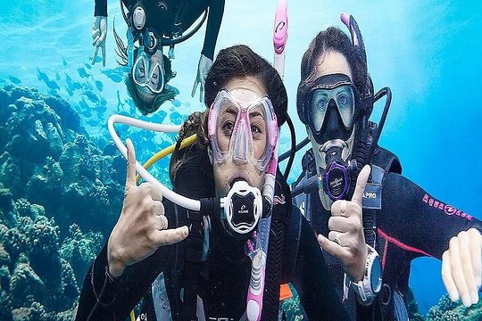 Kusadasi Scuba Diving — billede 3
