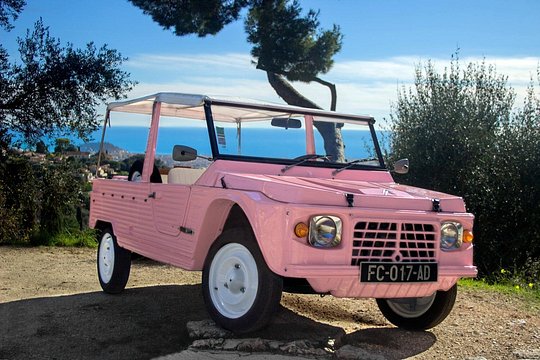 Private excursion in electric Méhari from Nice to Eze village — Foto 5