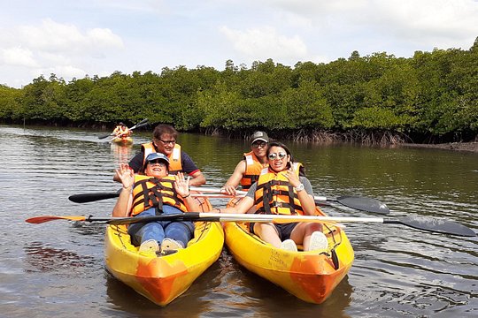 Mangroves Kayaking At Havelock — photograph 2