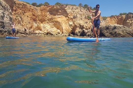 Ocean Sup and kayak tours — photograph 5