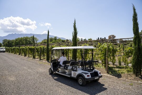Wine Tasting Including Lunch — 사진 4