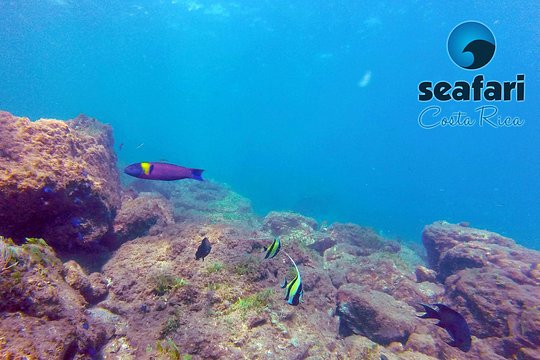 Scuba Diving Guanacaste — foto 5