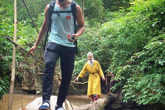 Jungle Wisdom Survival Trek — foto 4