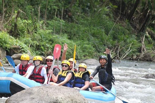 Ayung Rafting Swing Monkey Forest And Waterfall Private Tour — billede 3