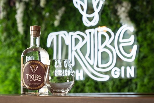 Tribe Gin School Masterclass in Galway — foto 3