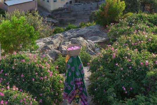 Private Oman Full Day Guided Sightseeing Tour — photograph 4