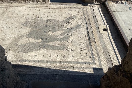 Pompeii Guided Tour with Skip-the-Line Entry — billede 5