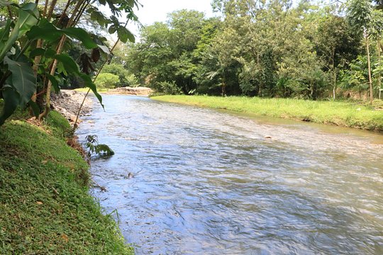 Costa Rican Cooking Class — 사진 3