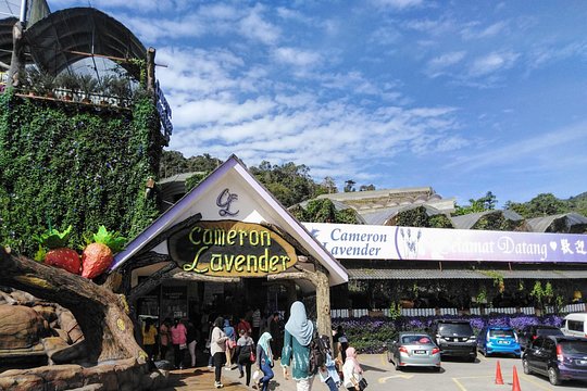 Cameron Highlands Multi Days Tour — photograph 4
