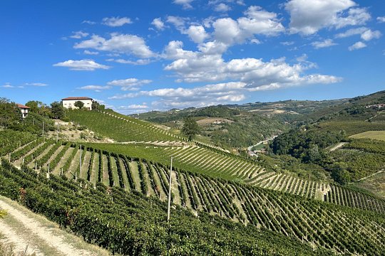 Private Barolo Wine Tour with Winemaker — photograph 3