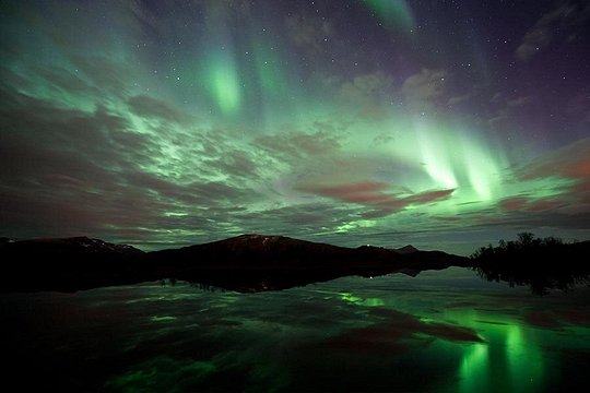 Northern Lights Husky Visit — photograph 5