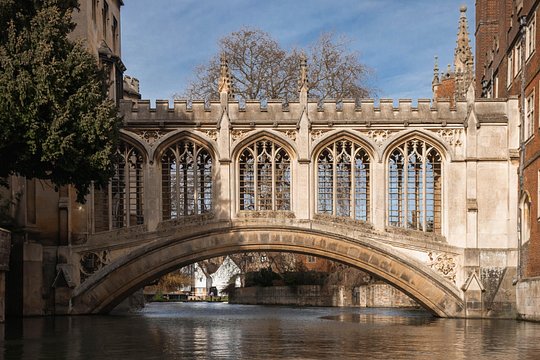 Cambridge - Shared Punting Tour — photograph 4