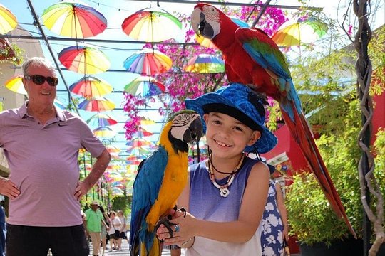 Puerto Plata City Tour — billede 4