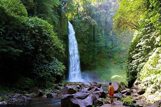 Bali Highlights tilpasselig privat dagstur — billede 5