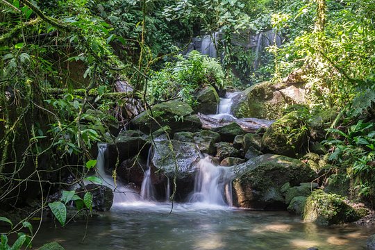 Arenal Observatory Lodge & Trails — billede 4