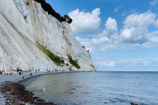 Møns klint and The Forest tower - A day tour from Copenhagen — photograph 4