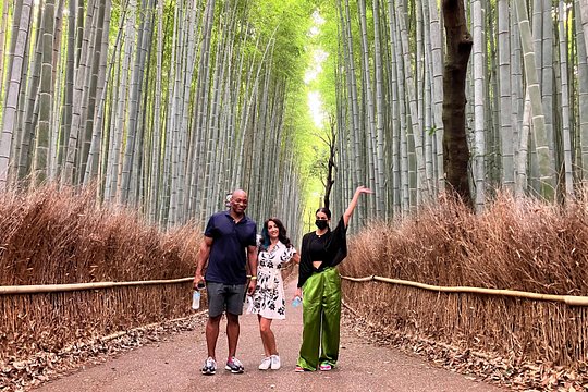 Kyoto Customized Private Tour by Car with Licensed Guide — photograph 4