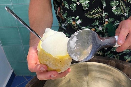 Lemon Experience with limoncello demonstration — photograph 2