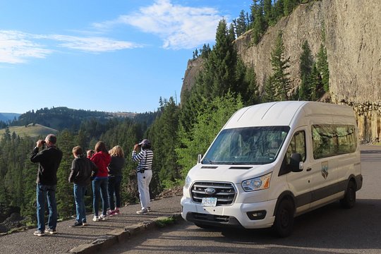 Upper Loop Tour and Lamar Valley from West Yellowstone with Lunch — billede 5