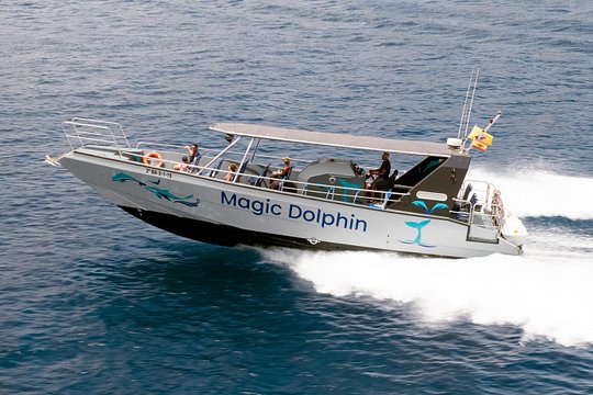 Morro Jable: 2 Hours Magic Dolphin & Whale watching with Drinks & Swim Stop. — صورة 2